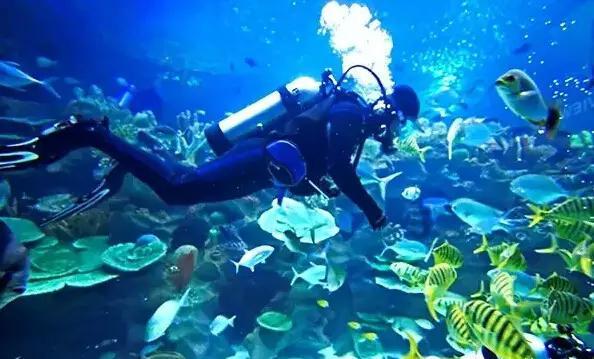 海盗寻宝记选关版